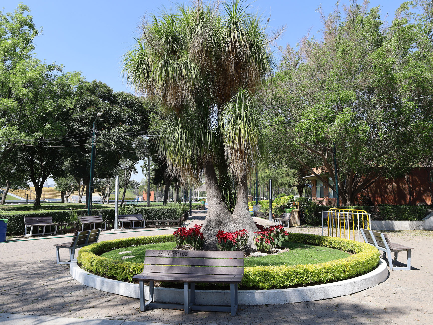 Imagen: pages/imgGaleria/Feria_20260217_134845.jpg