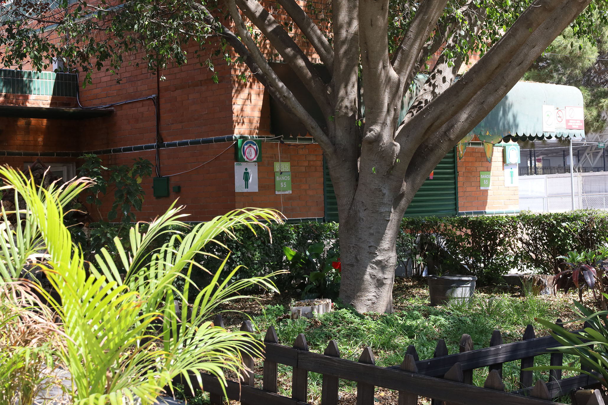 Imagen: pages/imgGaleria/Feria_20260217_134903.jpg