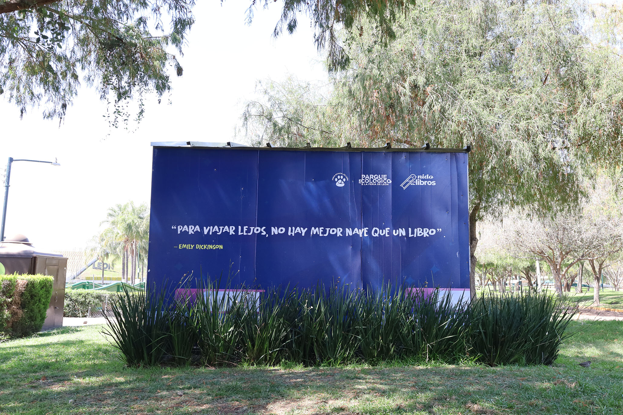 Imagen: pages/imgGaleria/Feria_20260217_134912.jpg