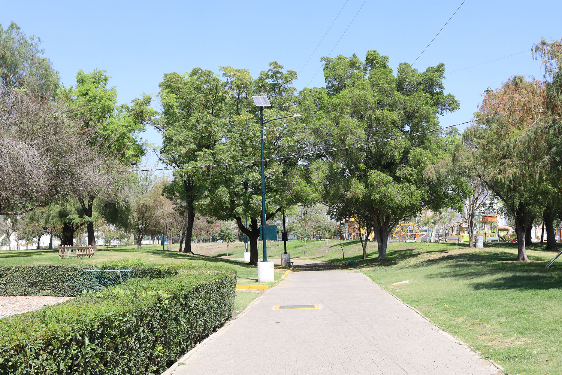 Imagen: pages/imgGaleria/Feria_20260217_134940.jpg