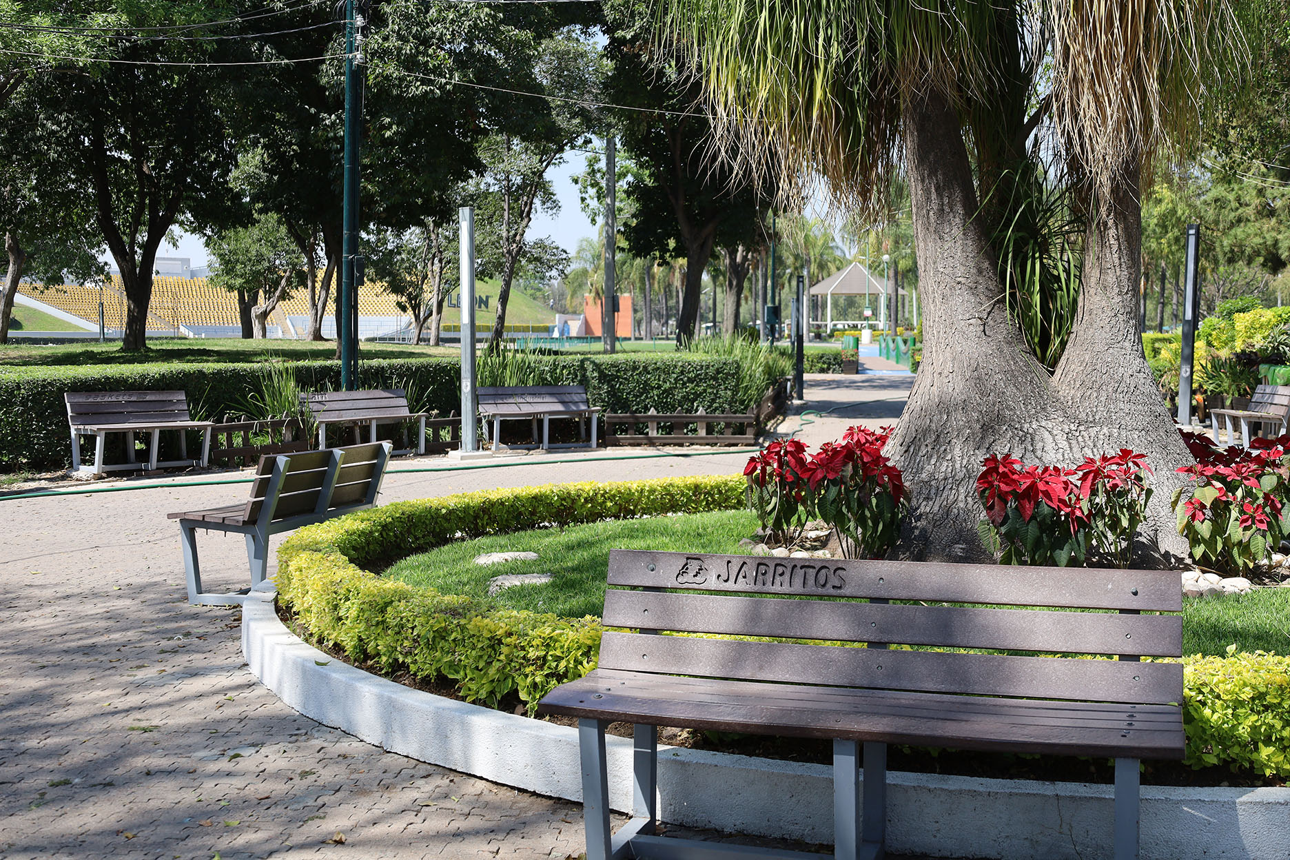 Imagen: pages/imgGaleria/Feria_20260217_134950.jpg