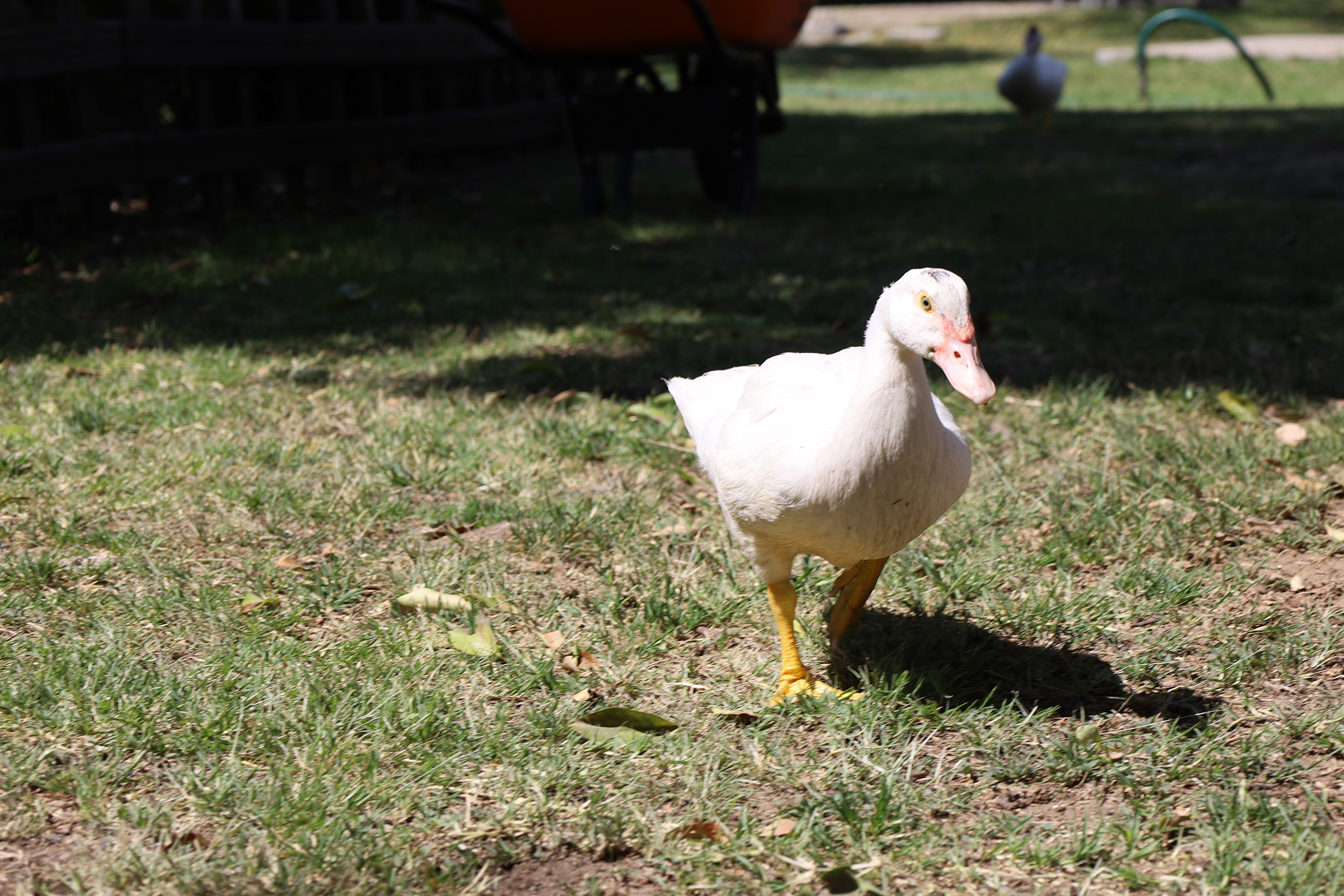 Imagen: pages/imgGaleria/Feria_20260217_135004.jpg